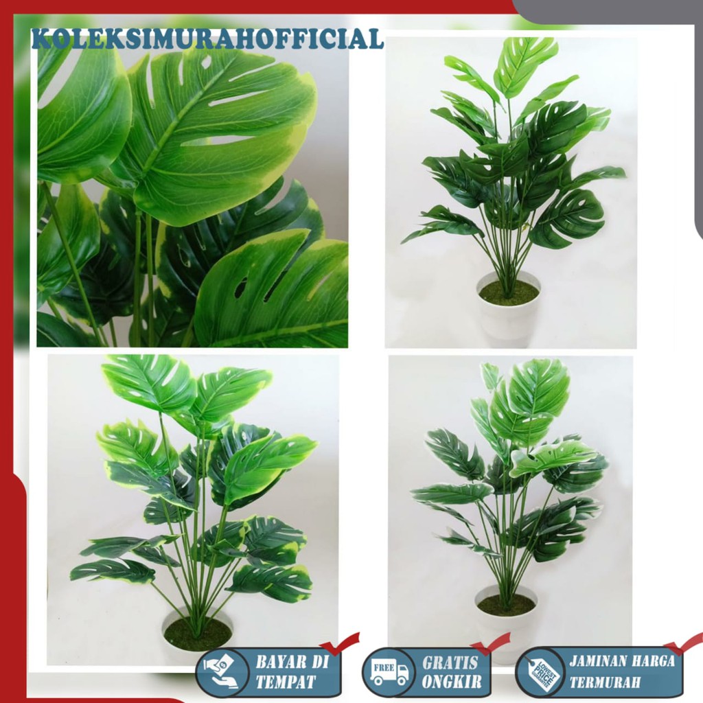 COD TANAMAN HIAS MONSTERA BESAR TANAMAN DAUN PLASTIK TANAMAN HIAS RUMAH BUNGA PLASTIK  BP8843