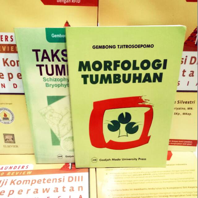 BUKU BOTANI FARMASI (taksonomi tumbuhan dan morfologi