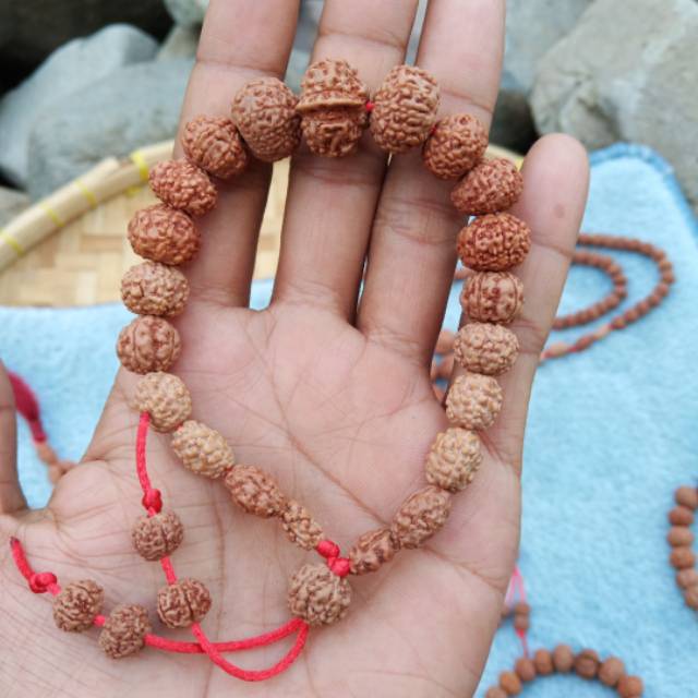 Jenitri mukhi 1 sampe mukhi 10 plus ganesha