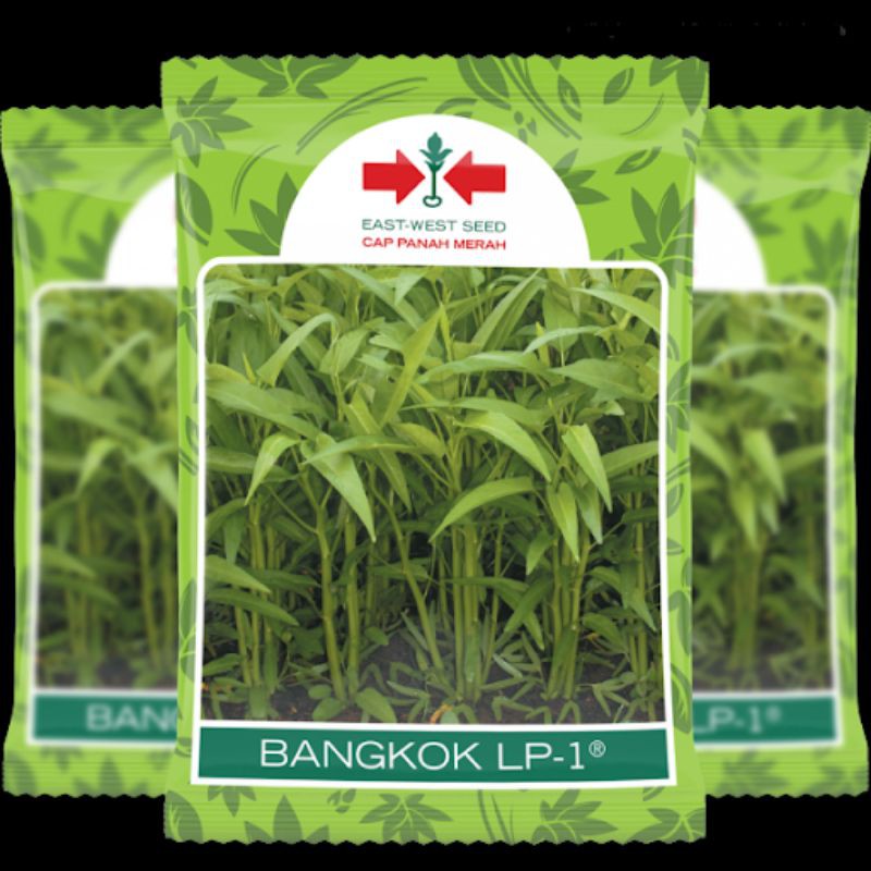 Bibit Kangkung Bangkok / Benih Kangkung / Kangkung Bangkok / Benih Kangkung Bangkok - Panah Merah