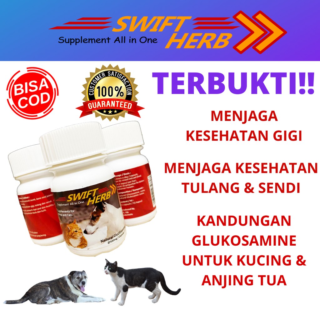 VITAMIN UNTUK GIGI TULANG BULU KULIT KUCING ANJING VITAMIN ANAK KUCING ANJING TUA SWIFT HERB (PROMO 