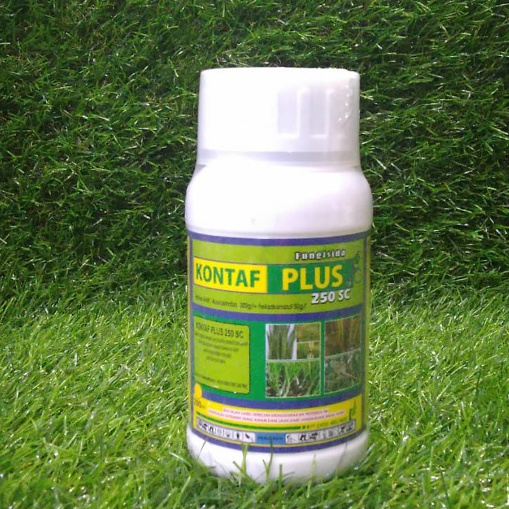 Kontaf 200ml Fungisida Ampuh Kontaf Plus 250 SC