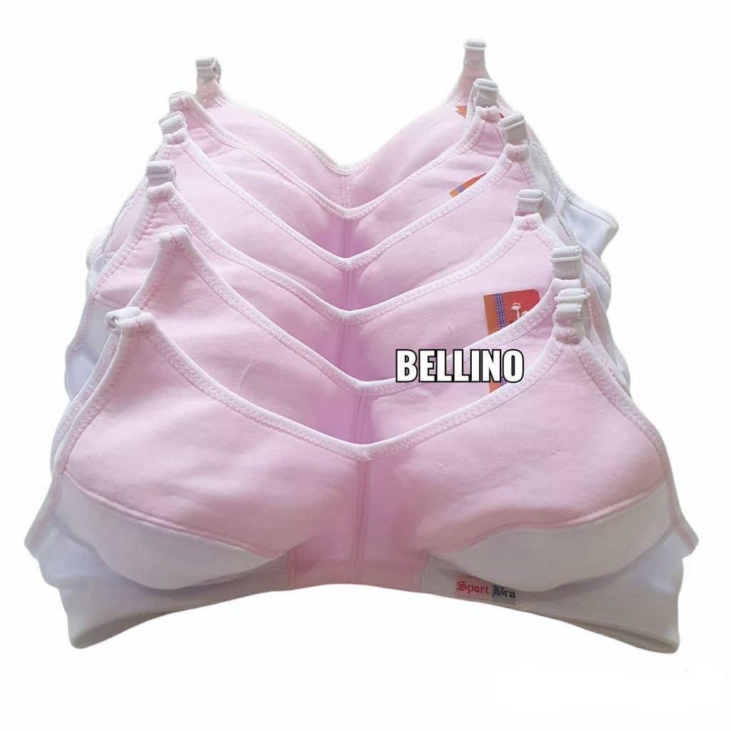 Grosir 1 Lusin Seri 12pcs Bra Pelajar Abg Bh Anak Remaja Pemula Seri 34 36 38 Tanpa Kawat Busa Tipis