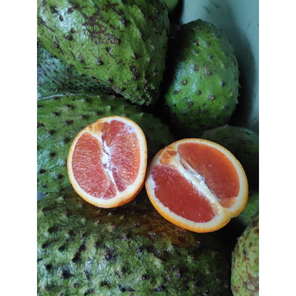 

sunkist cara cara ( daging merah) 2 buah