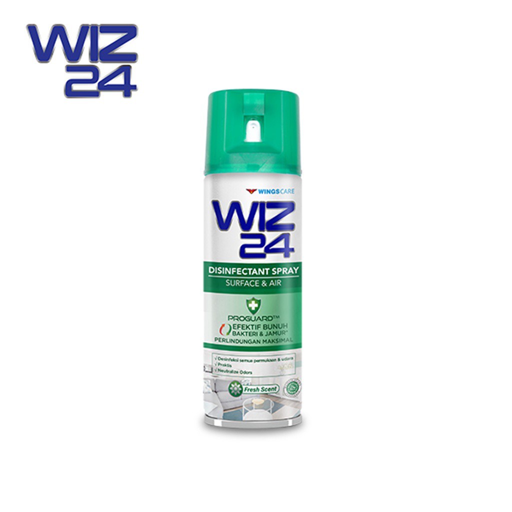 WIZ 24 DISINFECTANT AEROSOL 300mL