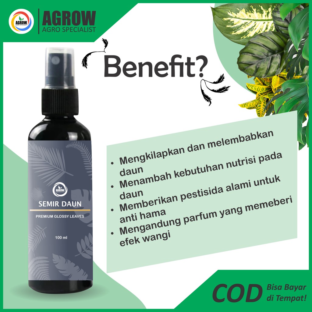 Semir Pengkilap Daun Tanaman Hias Leaf Shine Aglonema Monstera Calathea Keladi Puring 100 ml