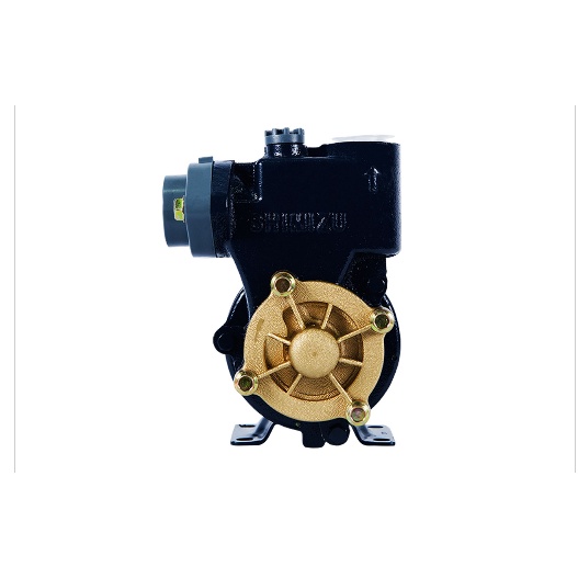 POMPA AIR SHIMIZU PS 116 BIT ALAT PENYEDOT AIR WATER PUMP