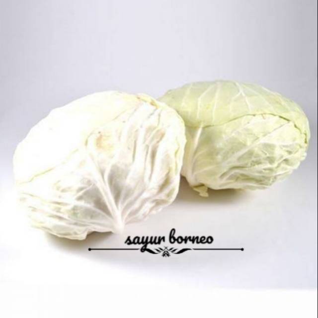 Sayur Segar Kol 500 Gram