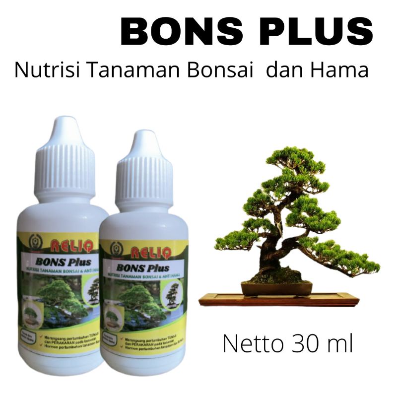 Hormon untuk pertumbuhan tunas dan perakaran pada tanaman bonsai, nutrisi tanaman bonsai putri malu