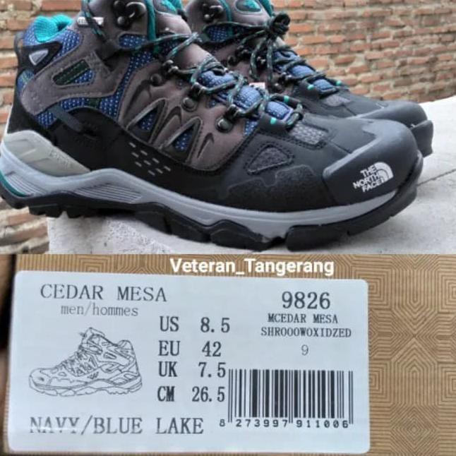 north face cedar mesa