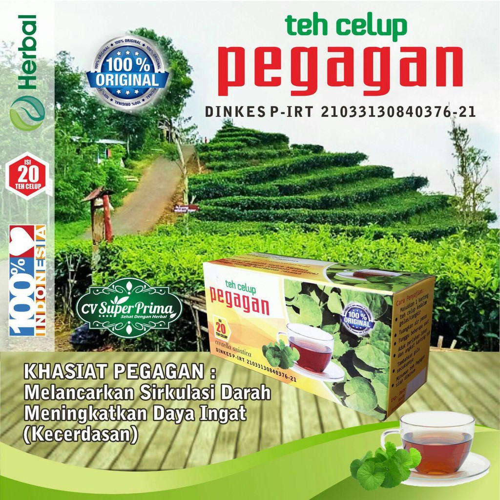 

Teh Celup Pegagan Berkualitas - SUper Prima