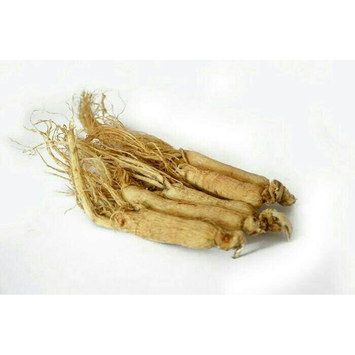 

100 G GR GRAM 生晒人参 AKAR GINSENG CINA UTUH SHENG SHAI REN SHEN