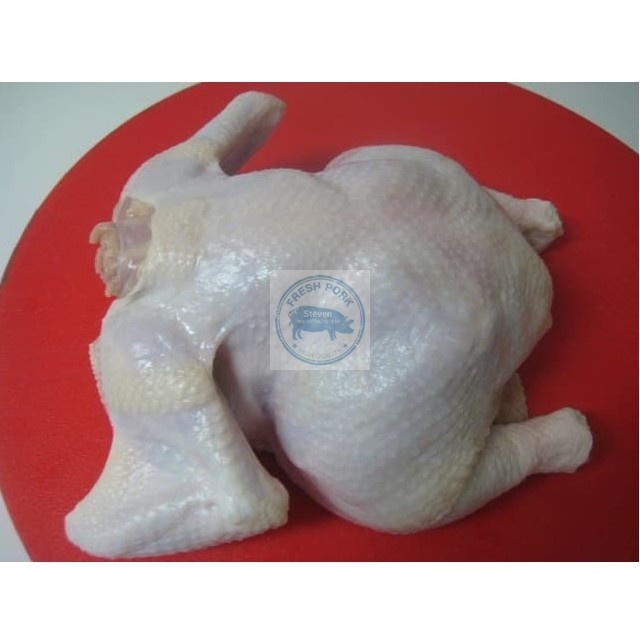 

AYAM SEGAR POTONG KEPALA KAKI 1.3 KG PER EKOR