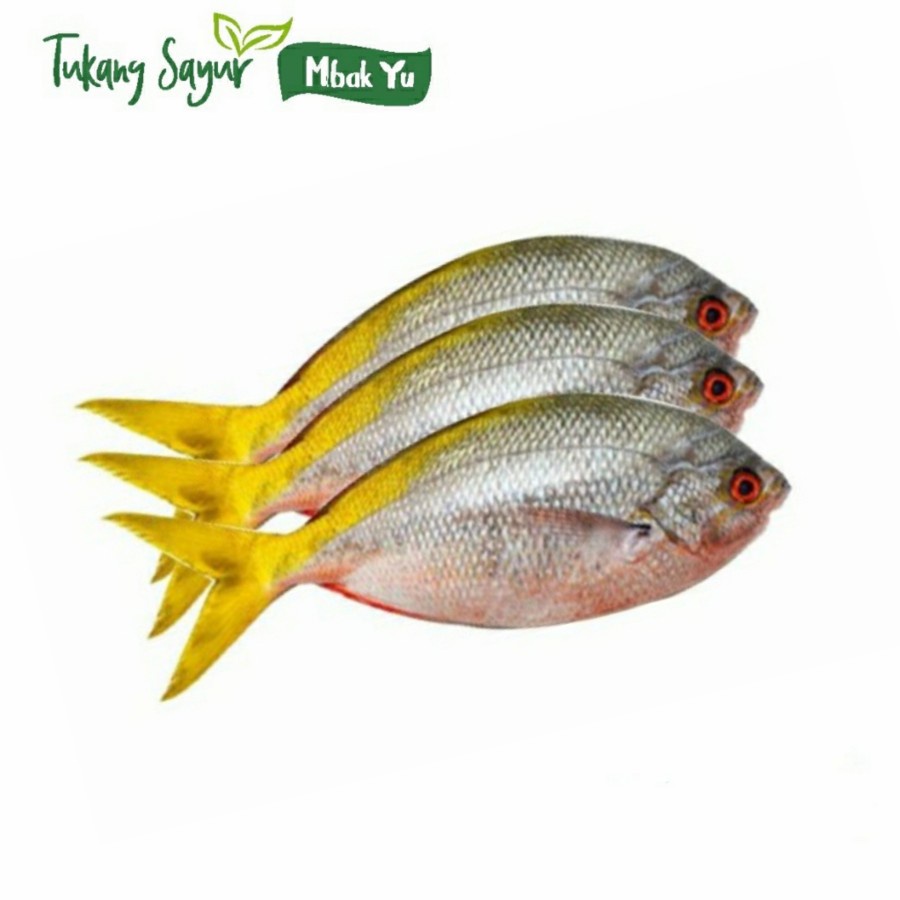 

Ikan ekor kuning 500gr