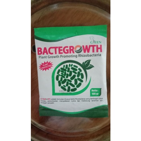 BACTEGROWTH PGPR(Plant Growth Promoting Rhizobacteria)