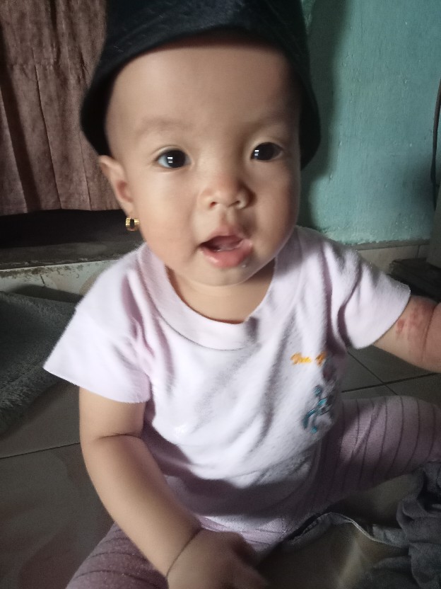 Stok Terbaru Pasak Penjepit Mulsa Murah