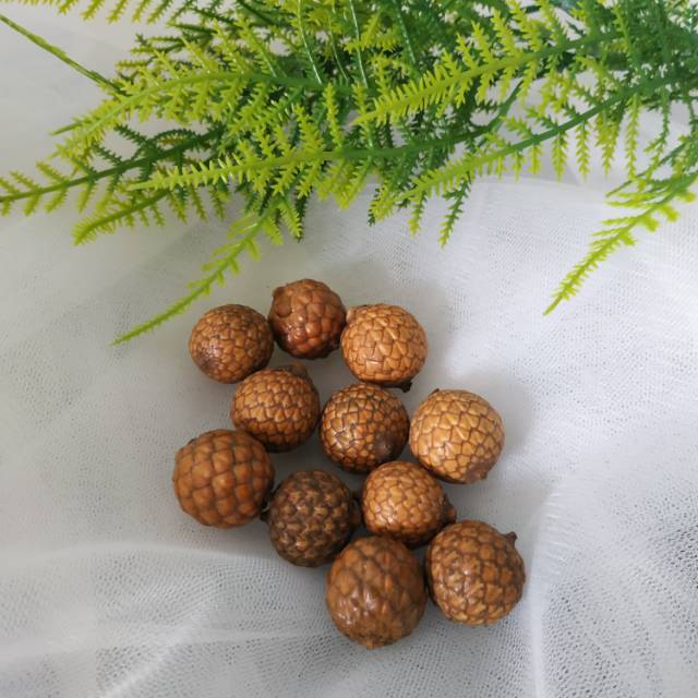 Biji rotan bulat / bahan kerajinan