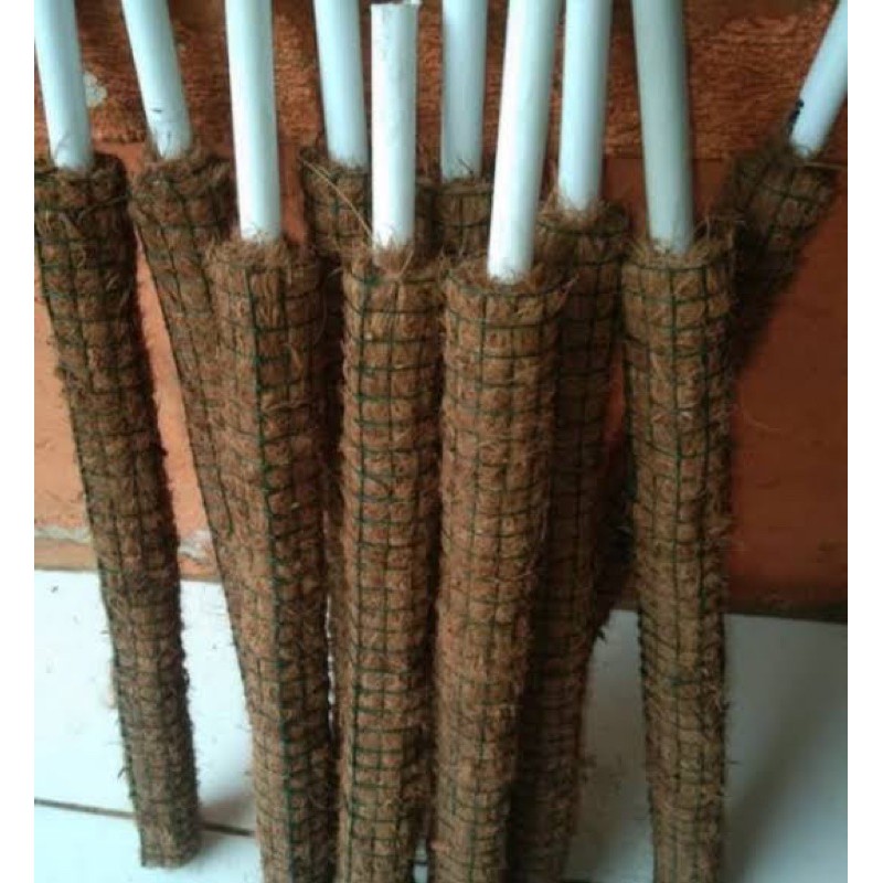 Ajir Penyangga Tanaman