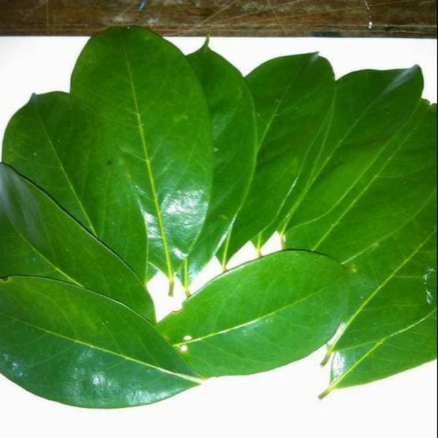 

DAUN SIRSAK SEGAR HARGA / 20 LEMBAR