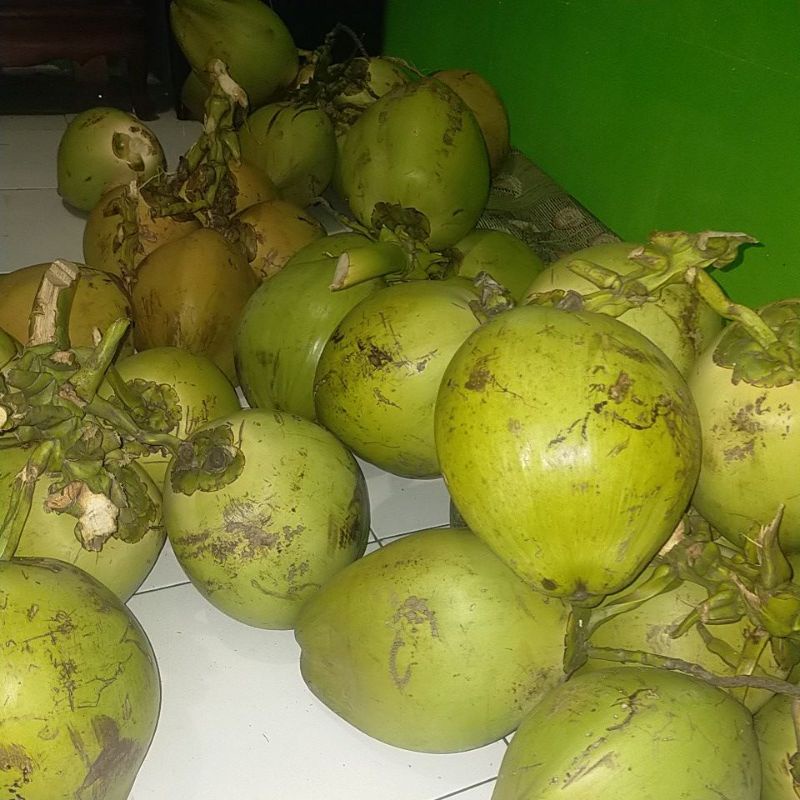 

Kelapa muda fres