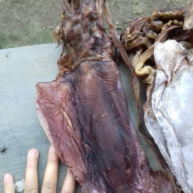 

Cumi kering / sotong kering TAWAR