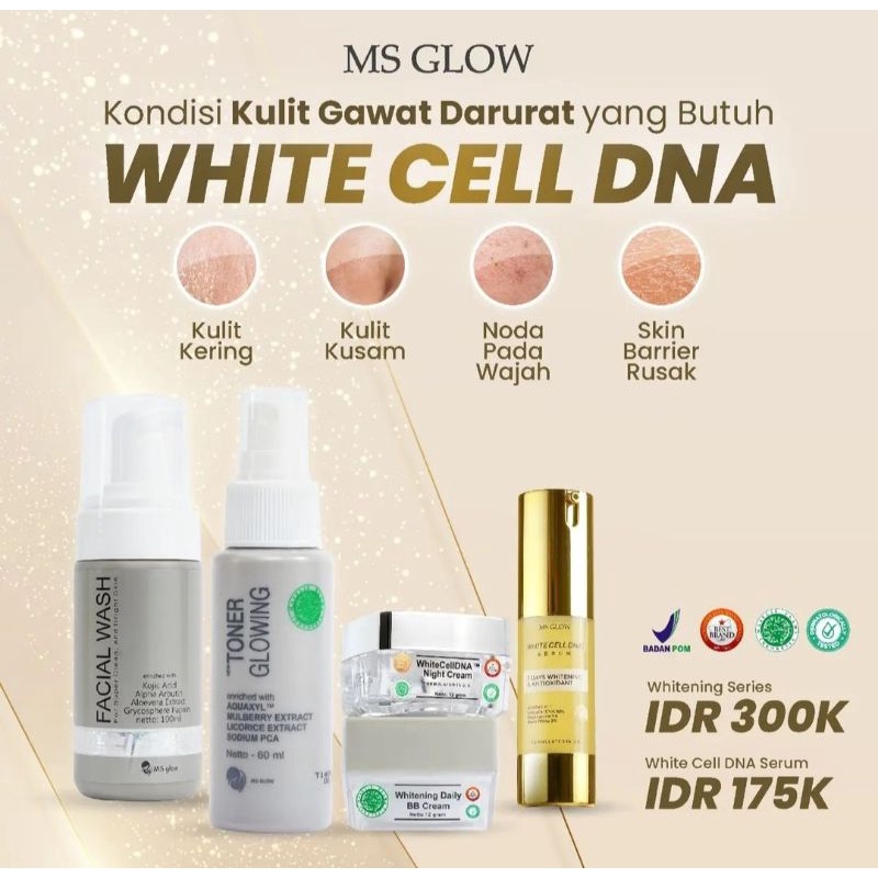 paket wcd white cell dna salmon ms glow