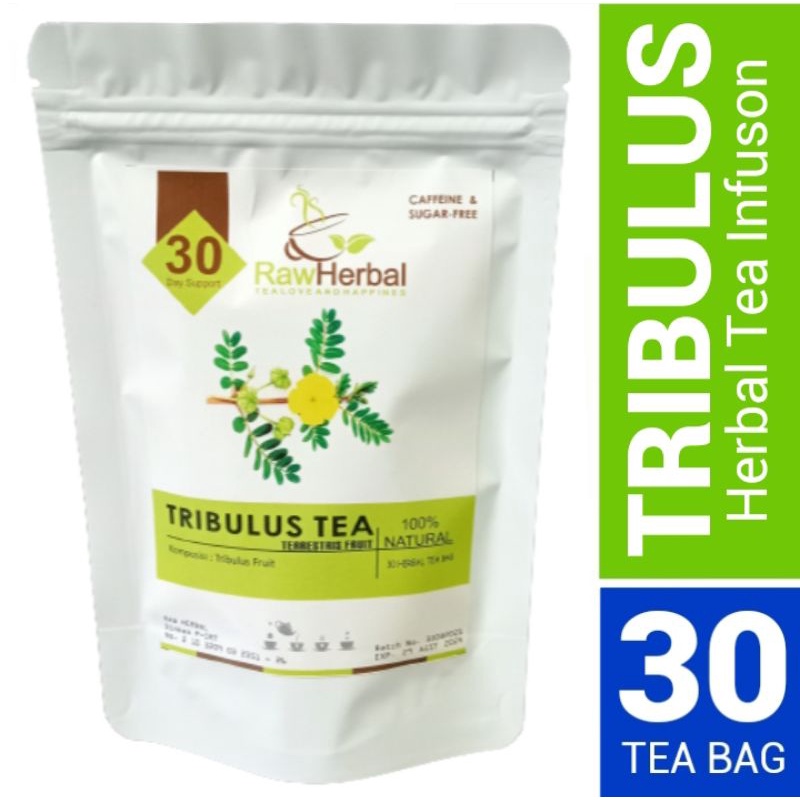 TRIBULUS TERRESTRIS FRUIT TEA : TEH TRIBULUS TERRESTRIS ISI 30 TEA BAG