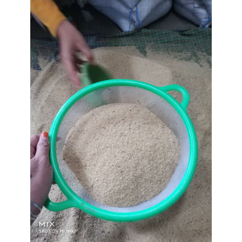 

Telur Jangkrik Madu Super Telur Jangkrik Madu Kuning Telur Jangkrik Madu murah