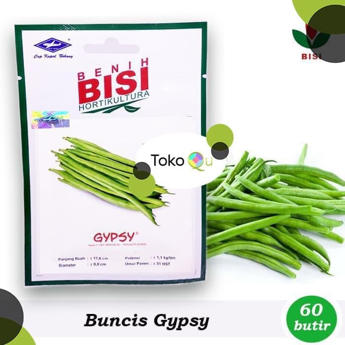 Benih-Bibit Buncis Perdu Gypsy (BISI)