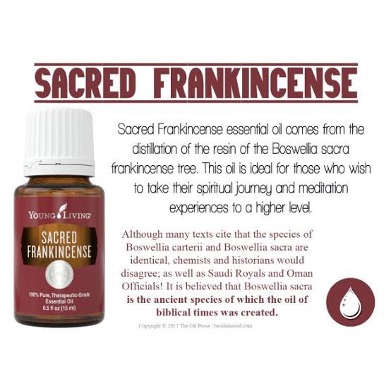 Sacred Frankincense YL Essential Oil - Ori and Sealed