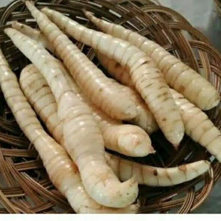 

[PRODUK RPWQ7] TEPUNG GARUT/PATI ASAM LAMBUNG/ANGKRIK /ARROWROOT 500Gr QTR