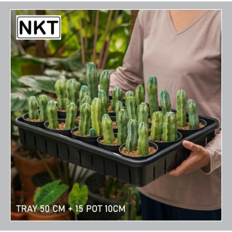 Tray 50 cm + pot 10 cm | Pot NKT | WARNA HITAM