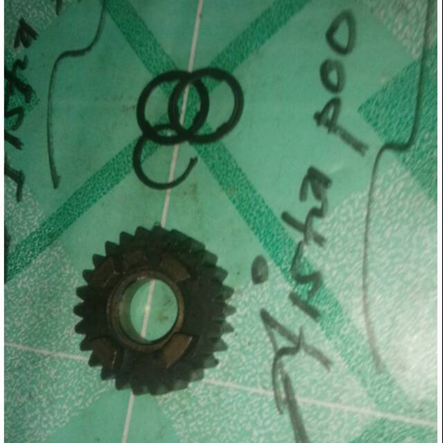 rasio tiger gigi 6 nafas panjang 26Ｔ