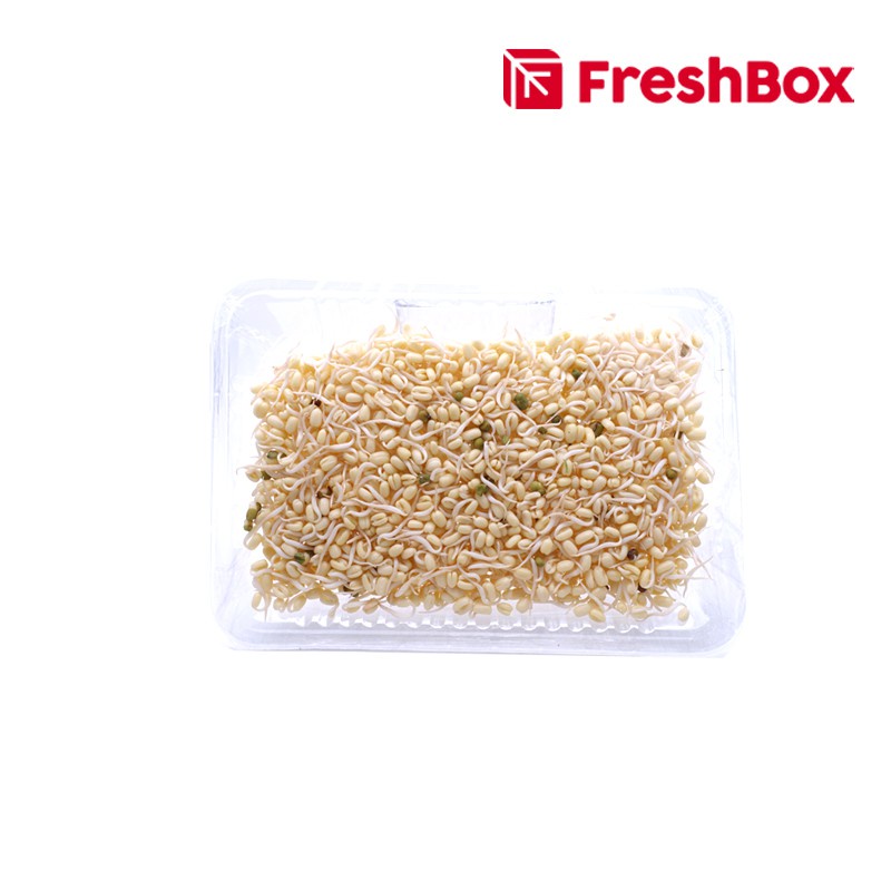 

FreshBox Kecambah / Bean Sprout 100 Gr