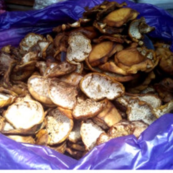 

Kaloko Pangi Kepayang Picung Halal Toraja 500 Gram Sangat Murah dengan Kualitas Fresh Tahan Lama