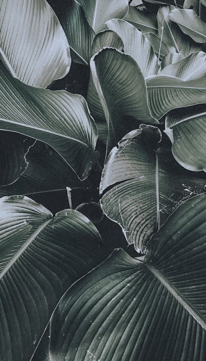 Keranjang Parcel Kulit 35x23x10