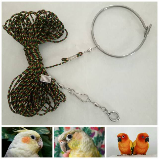 Jual Tali Anti Escape Latih Ff Burung Small Parrot Shopee Indonesia