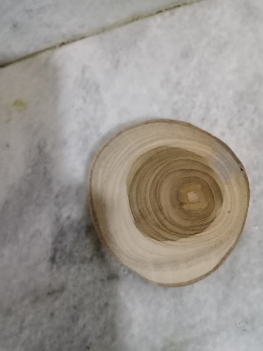 Wood Slice Potongan Kayu Jati Diameter 9 - 10 Cm