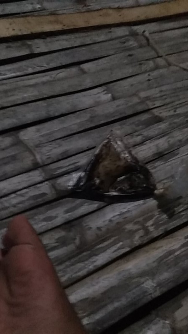 Rubber Coupling Fcl 125-180 F3