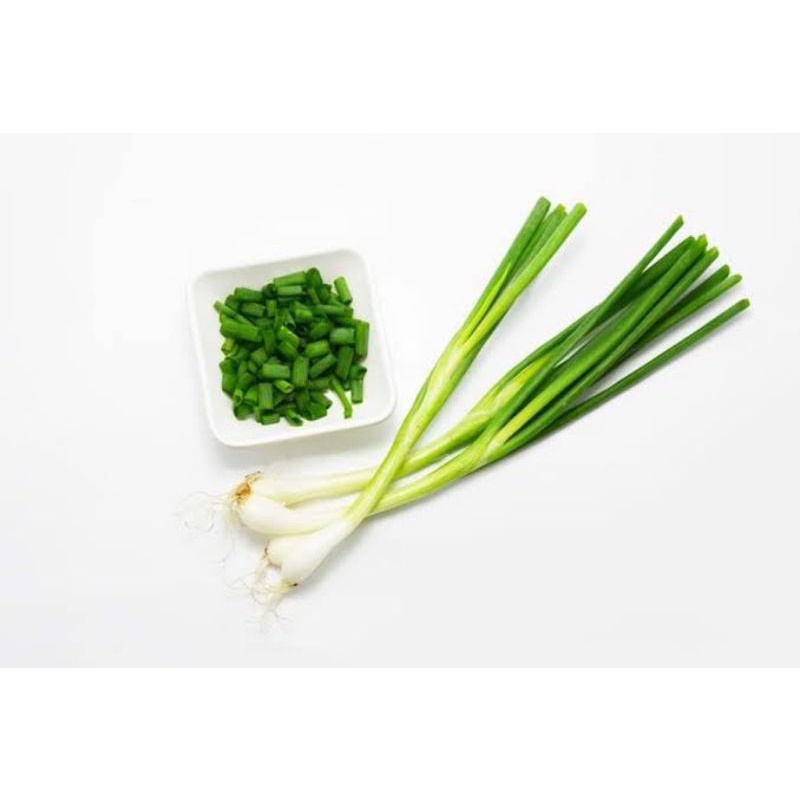 

AREA MEDAN | Daun Bawang Batak 250 gr