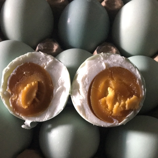 

Telur bebek