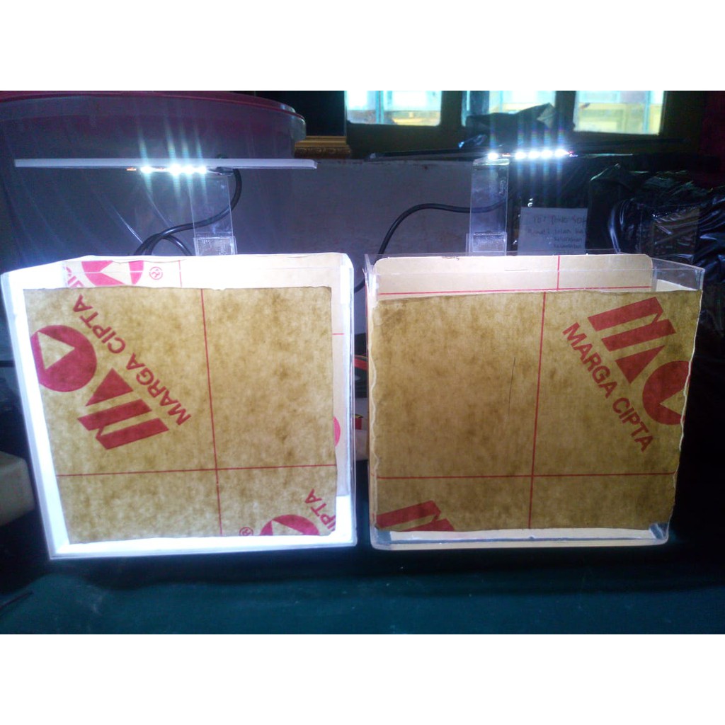 Akuarium Akrilik Soliter Selfie Tanpa Dudukan