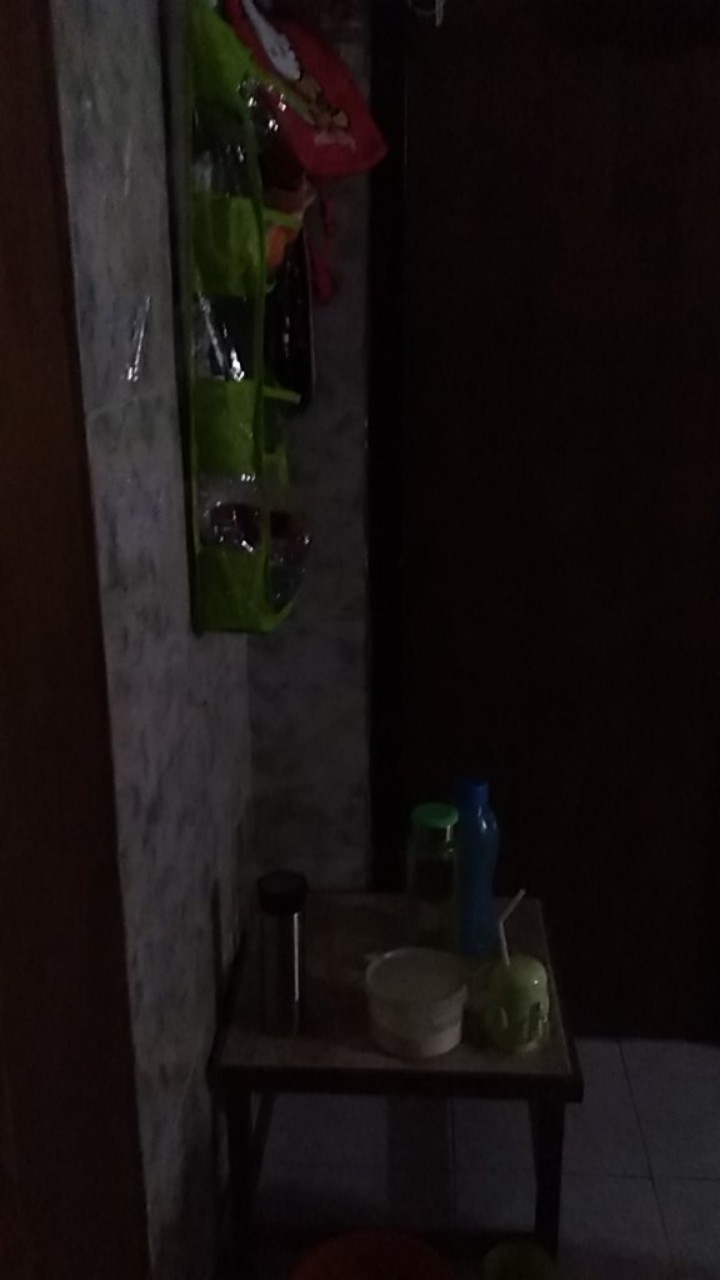  Anggrek  rhynchostylis retusa dewasa pink putih 