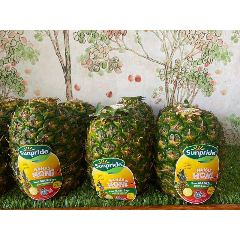 

Buah nanas sunpride honi|nanas|nuri fruits|buah segar bandung|nanas honey|sunpride