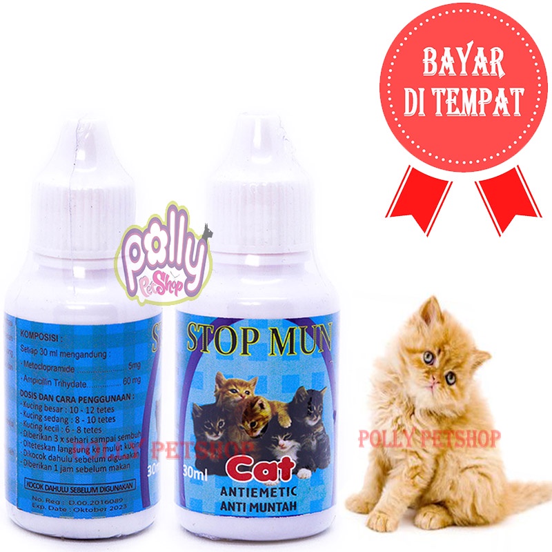 OBAT MUNTAH KUCING SAKIT MUAL MABUK ANAK KUCING KITTEN STOP MUN