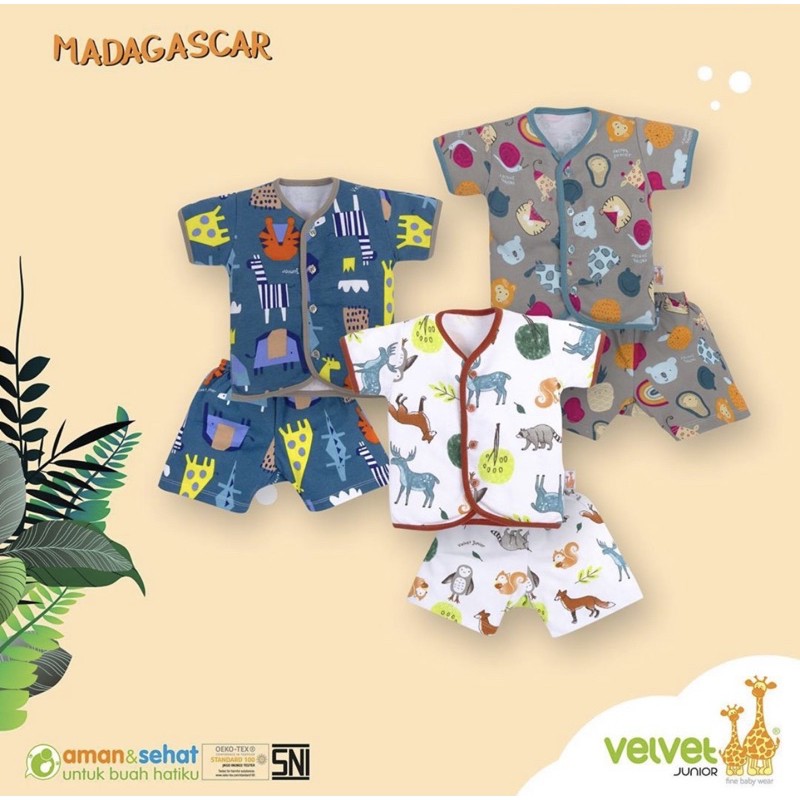 Velvet Junior Setelan Baju Pendek Bayi