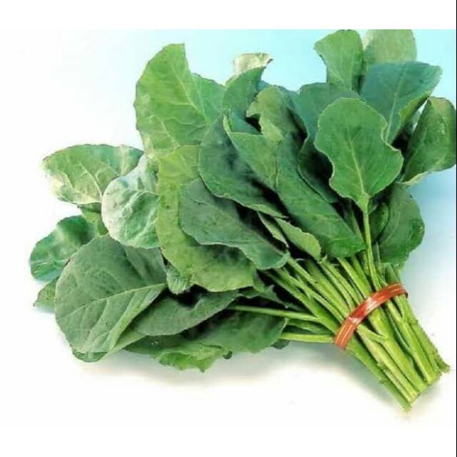 

Fresh kailan hijau (per pack)