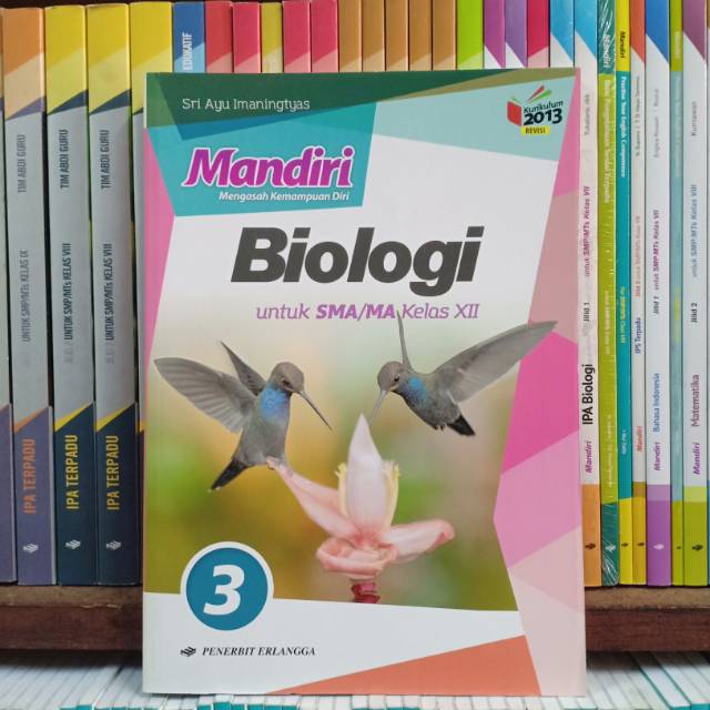 Kunci Jawaban Buku Mandiri Biologi Kelas 11 Erlangga Info Terkait Buku