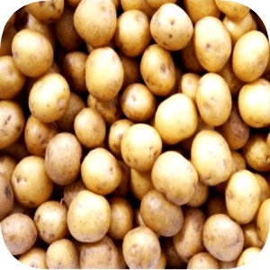 

Kentang Kecil/Kentang rendang 500 g