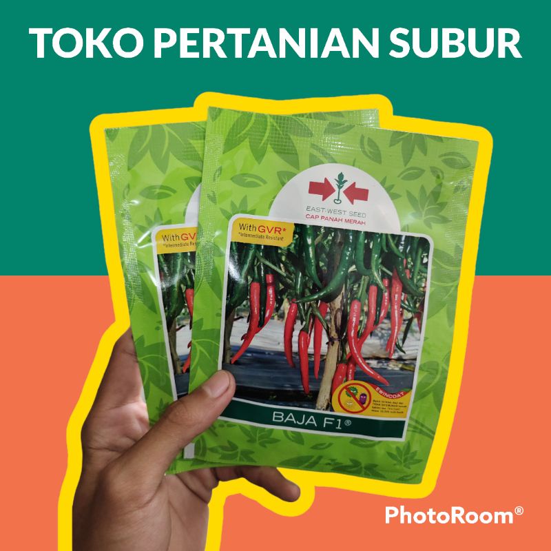 Benih Cabai Besar BAJA MC 1500 Biji - Bibit Cabe Cap Panah Merah